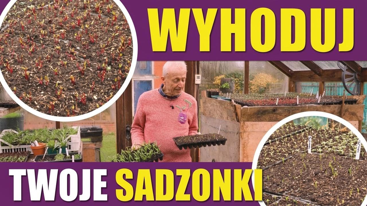 Rozsada na wiosnę: jak zapewnić ciepło, światło i szybki wzrost