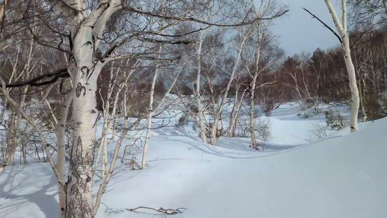 Etna on Nordic Backcountry Skiing 