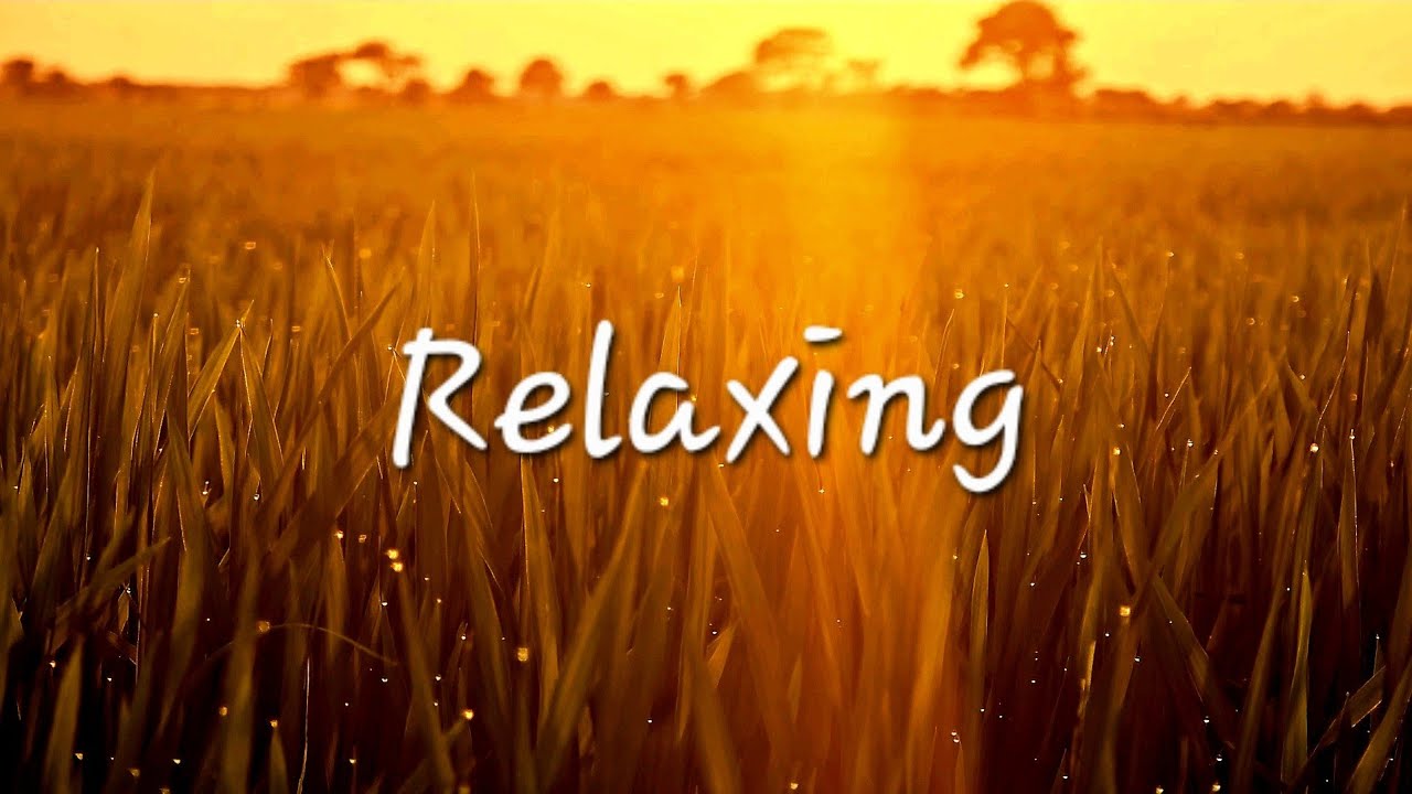 Album Day to Night Inner Journey | Relaxing Music with Nature