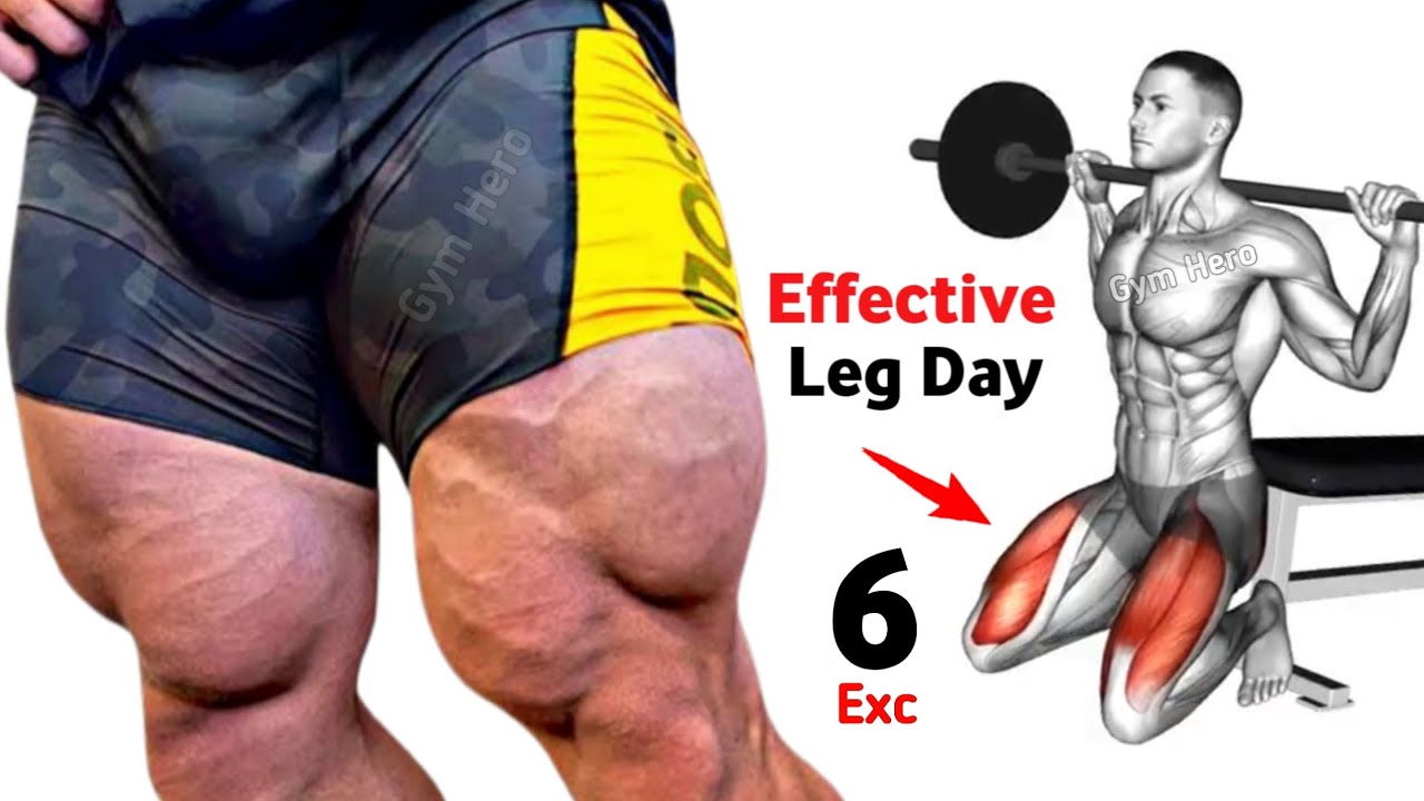6 Effective Leg Exercises to Build Massive Legs Fast