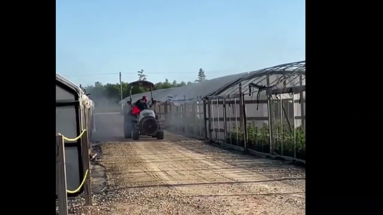 Trulieve Florida spraying plants before harvest?