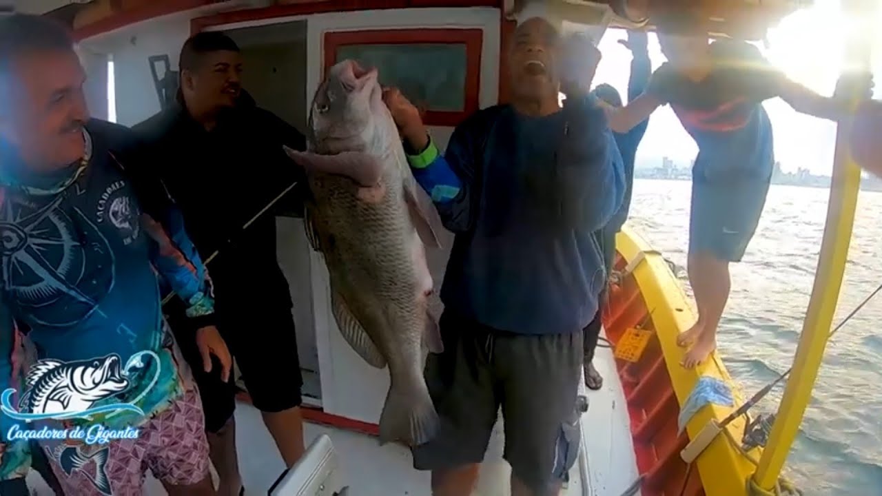 Pescaria Baía de guanabara ( piraúna de 10kg ) alto mar