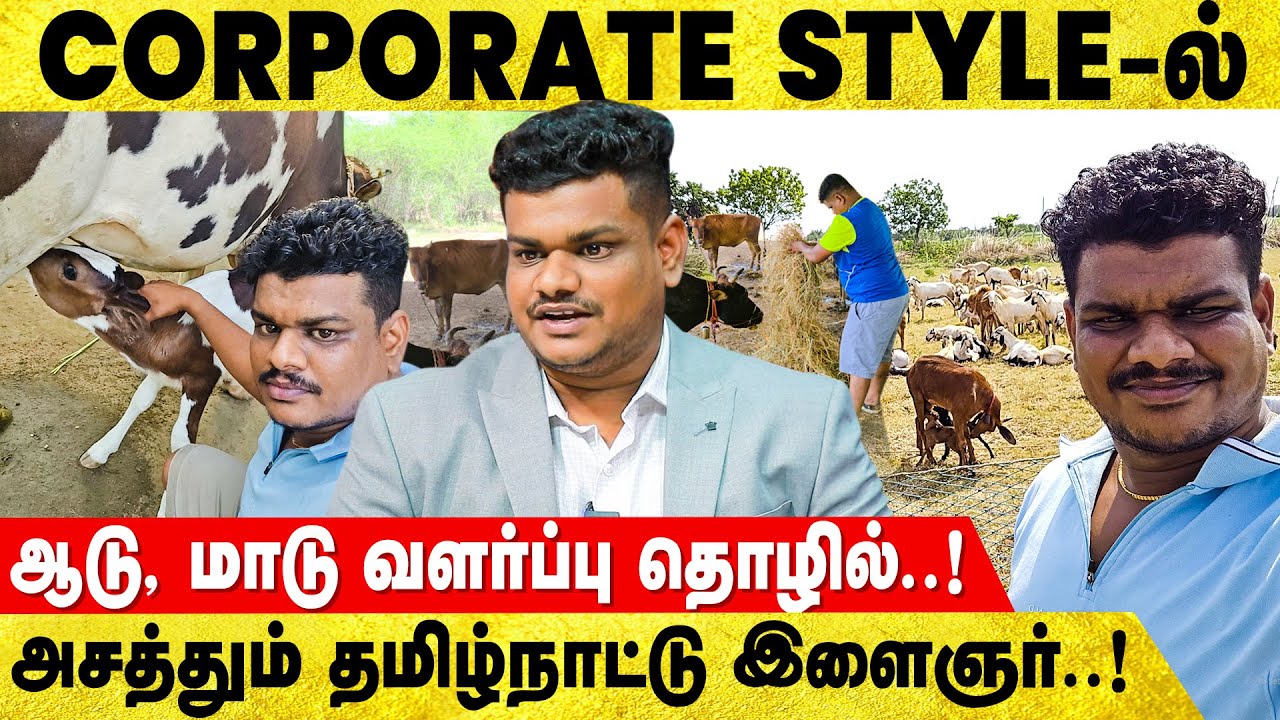 City -ல இருக்குறவங்களும் விவசாயி ஆகலமா..? Goat Investment | Farm | Green Cattle City | IBC Tamil