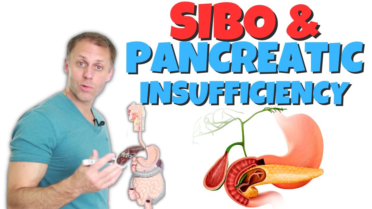The Surprising Link Between SIBO and Pancreas Problems