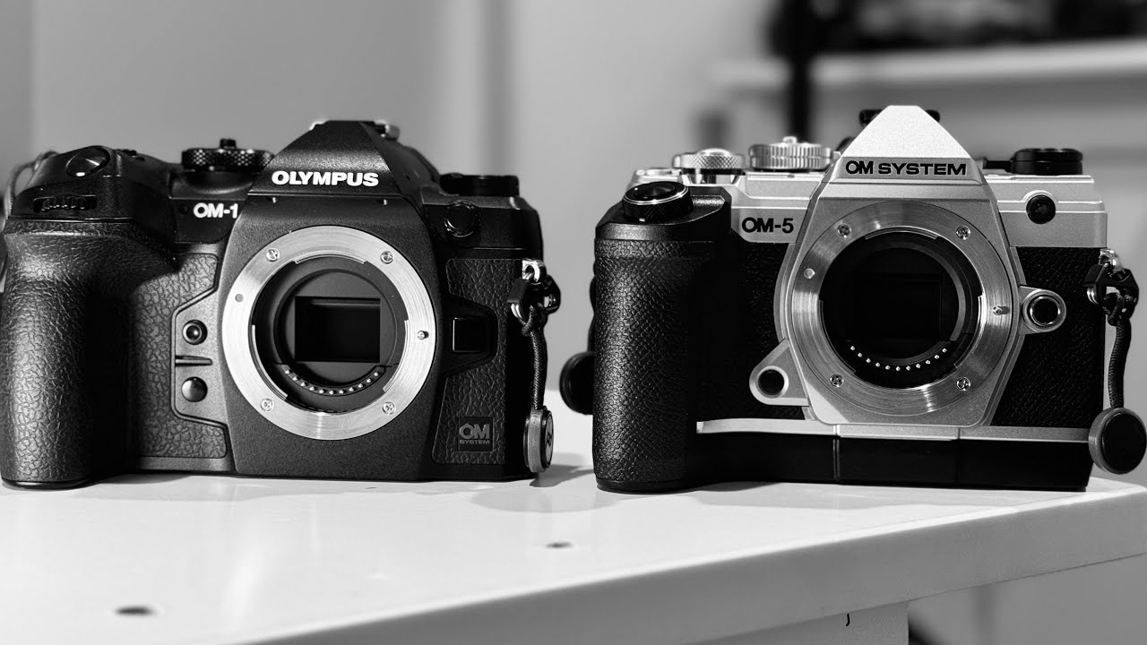 Olympus OM-5 против OM-1: какую из них оставить, а какую отбросить?