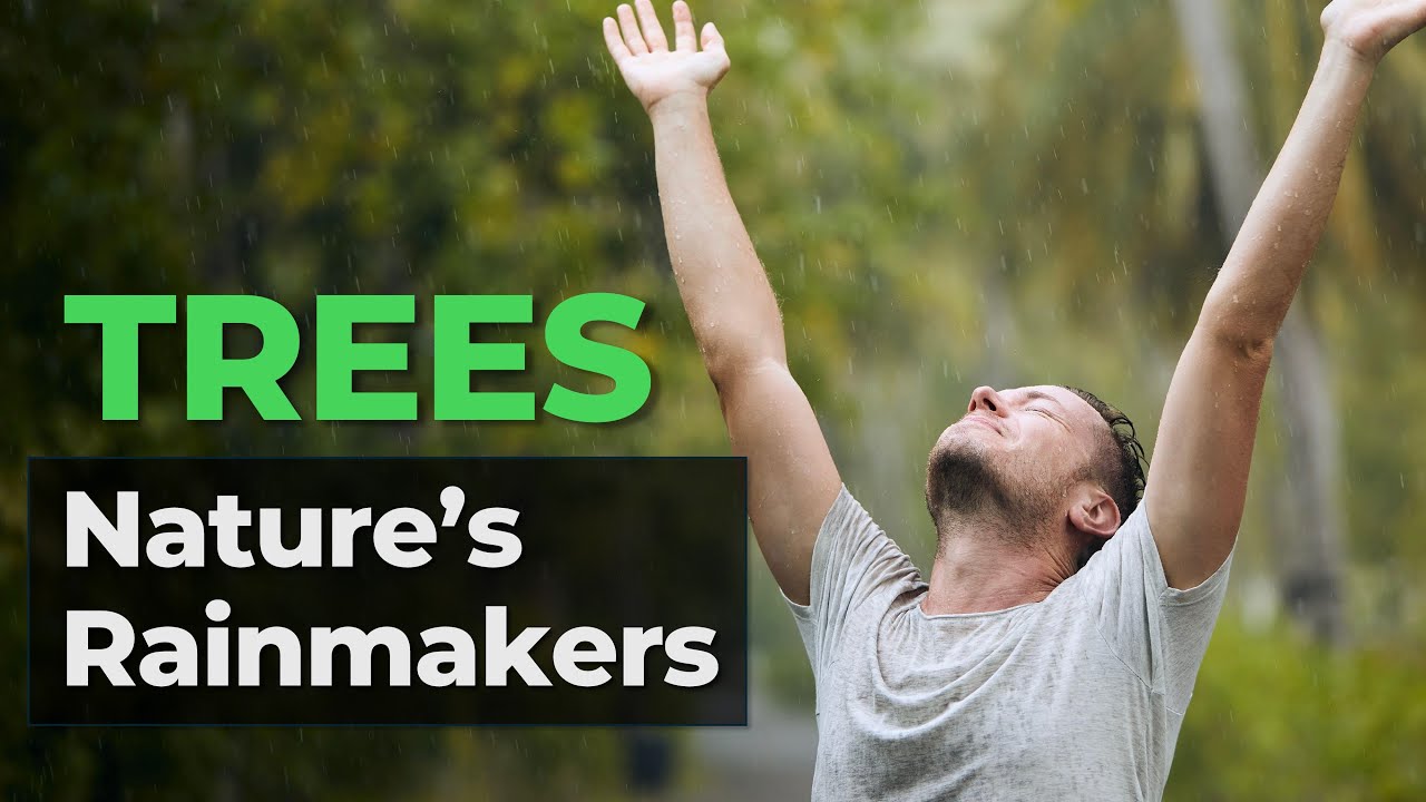 How Trees Make Rain: Science Now Proves It | More Rain, Better Farms