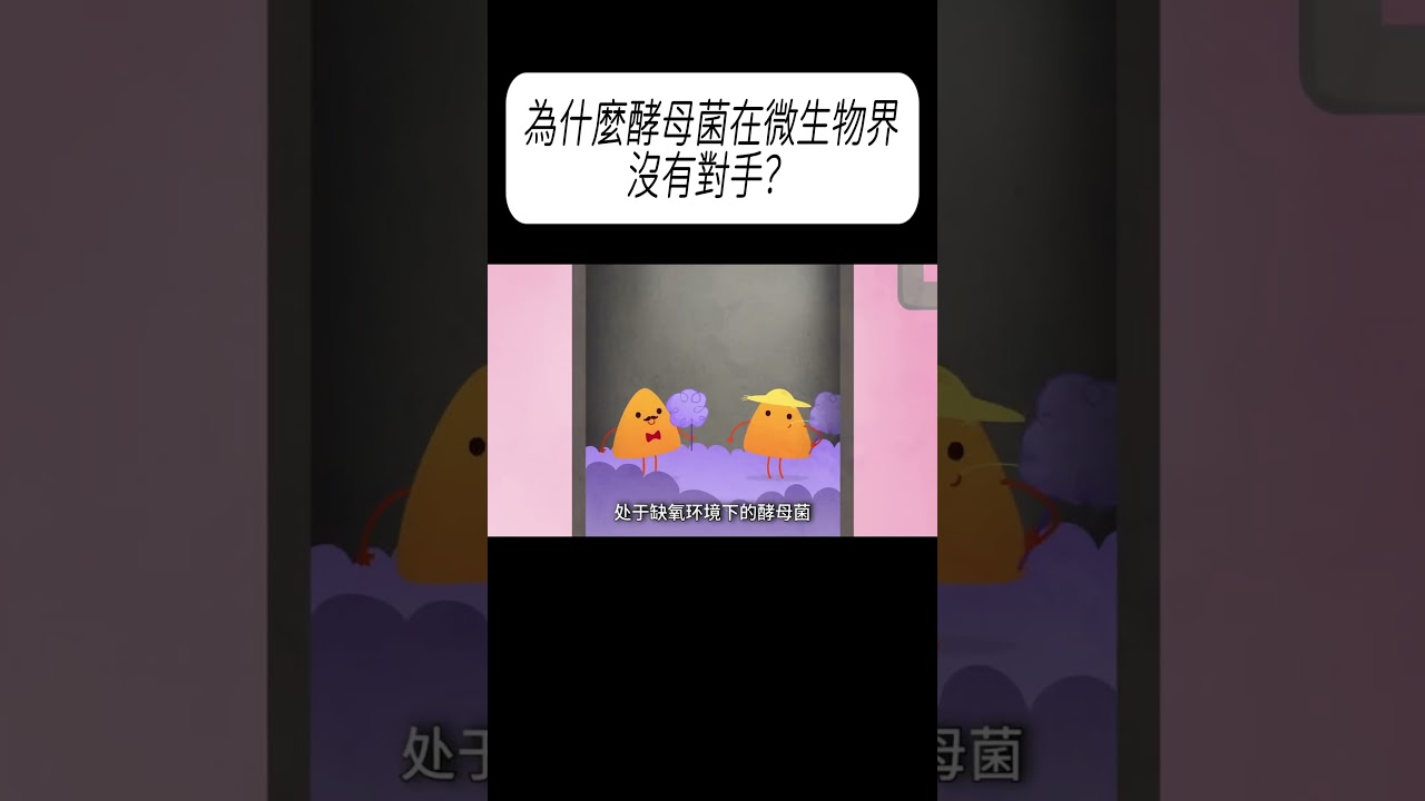 為什麼酵母菌在微生物界沒有對手？#科普 #漲知識