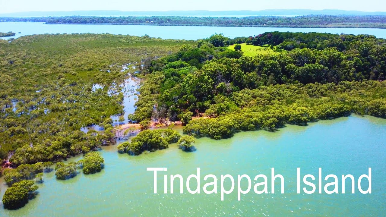 Tindappah Island Redland Bay - Are there any goats on this island?