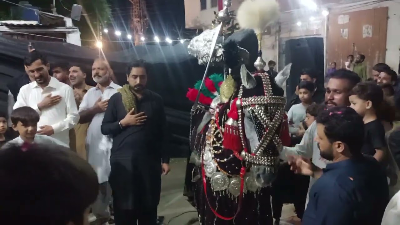 Zuljana shahzada Ali Akbar A.S 7 Rbiulwal Nowshera #zuljanah