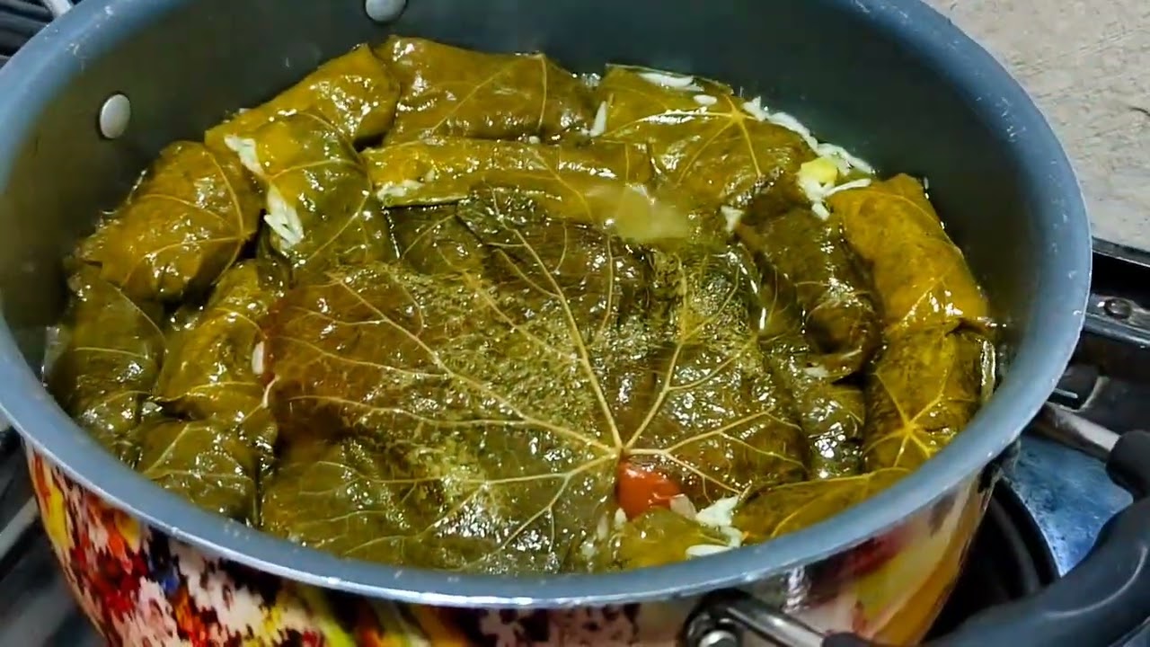 دۆڵمە خان ..☺️