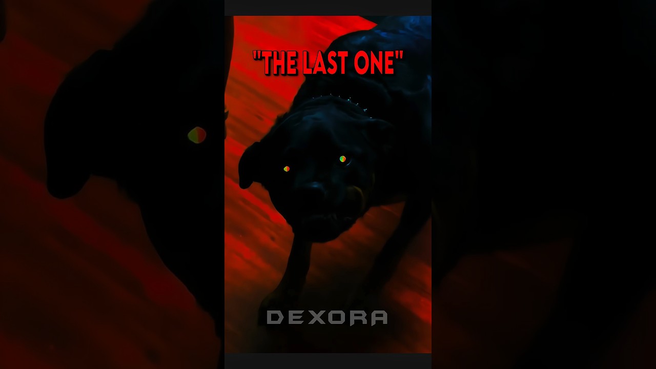 Others Dog Protect VS The Last One ☠️