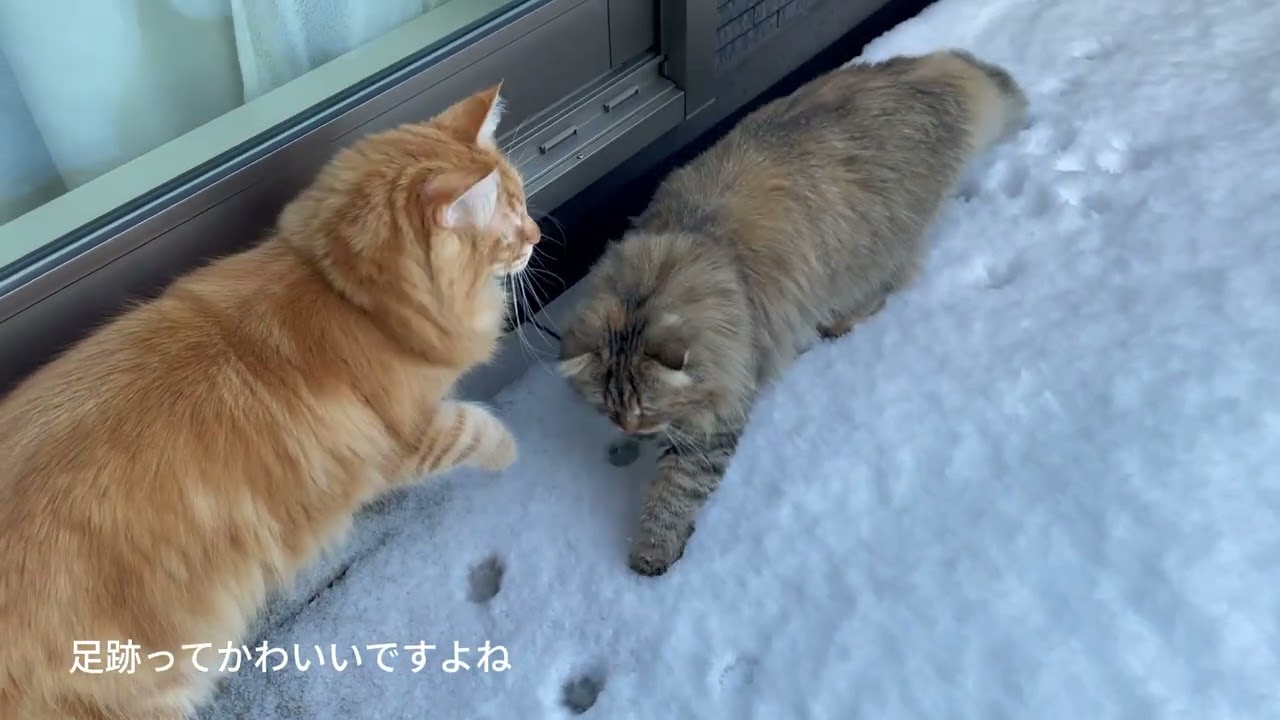 雪あそび