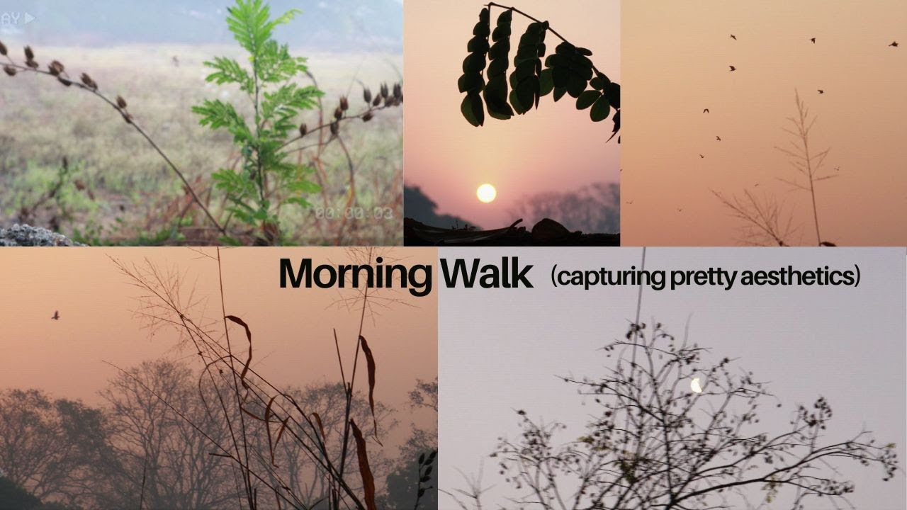 Pretty Sunrise Morning Walk and Peaceful Nature Cinematic Videography in Mumbai Calm Aesthetics