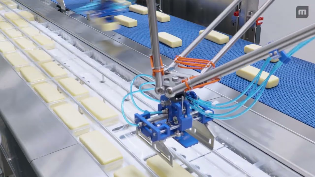MULTIVAC Packaging Line Solution for Cheese - Robotic Loading, Packaging, Marking and Channelizing