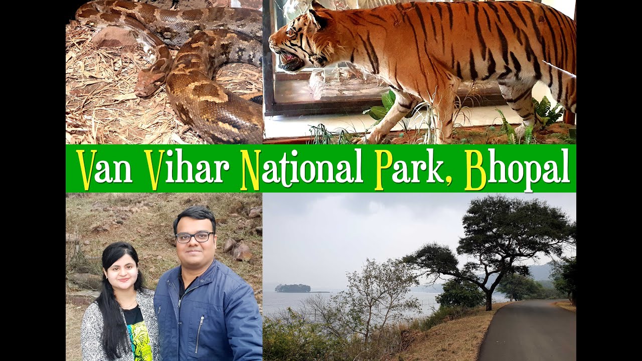 Van Vihar National Park 2020 | Best outing in Bhopal | Madhya Pradesh