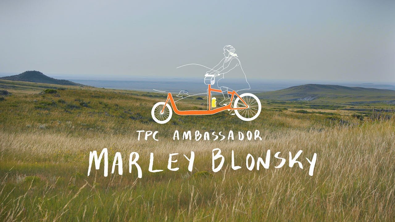 Marley Blonsky | Ambassador Series | The Pro's Closet
