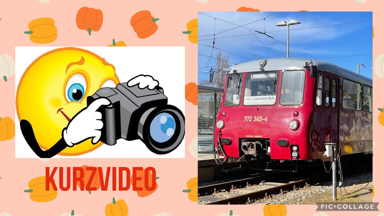 Kurzvideo PRESS Pressnitztalbahn Baureihe 772 Ferkeltaxi