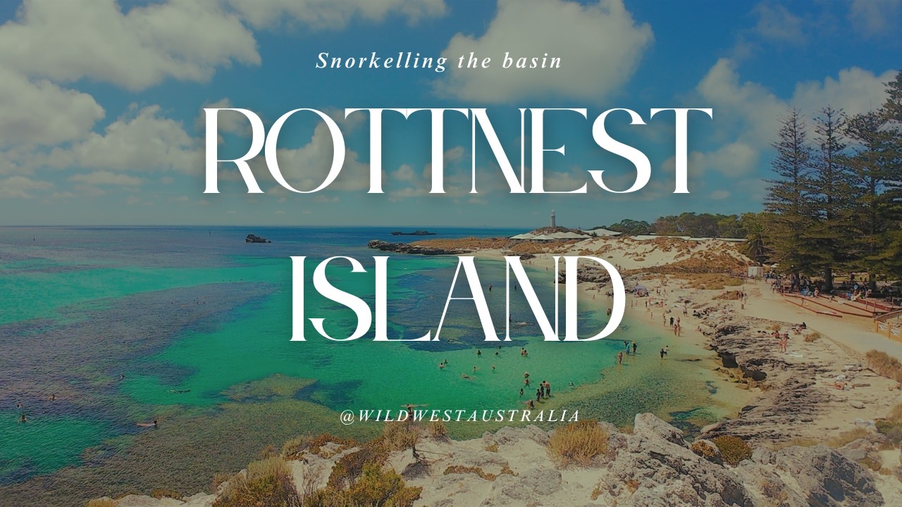Rottnest Island Snorkelling 🇦🇺 The Basin 4K | Crystal Clear Water & Tropical Fish