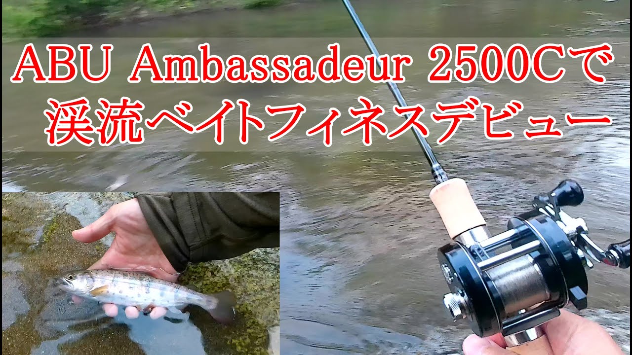 【ABU Ambassadeur 2500C】アンバサダー2500Cで渓流ベイトフィネスデビュー！