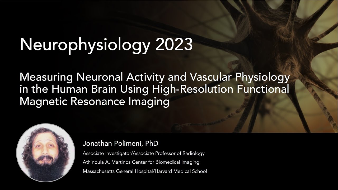 Measuring Neuronal Activity and Vascular Physiology in the Human Brain Using High-Resolution fMRI