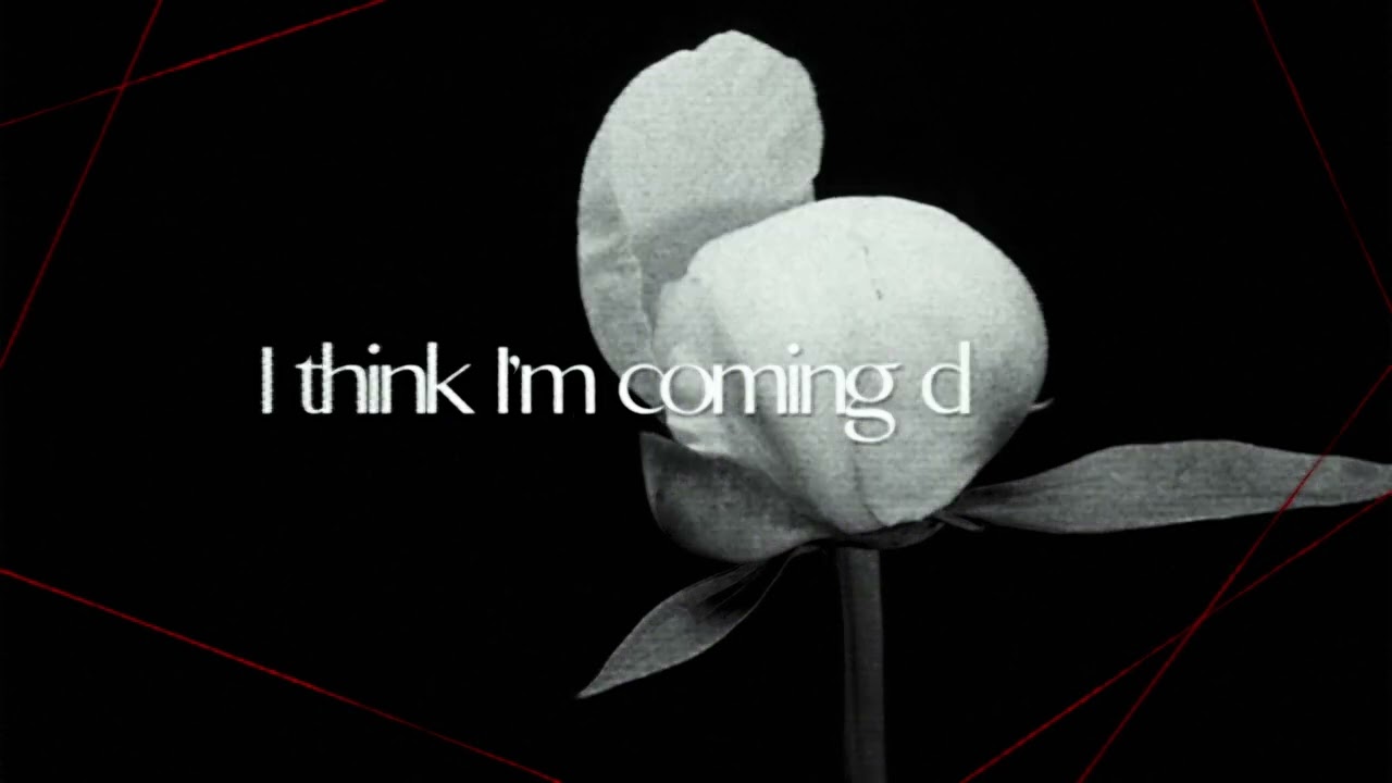 d4vd - Friend Again (Lyric Video)