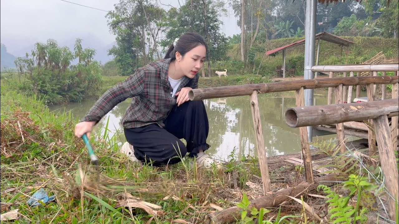 Cải Tạo Lại Ch&ograve;i Dưới Ao 1 Năm Kh&ocirc;ng Ai Nh&igrave;n Đến V&agrave; L&agrave;m Thịt B&ograve; Nướng Tảng - Mẩy Thuỳ