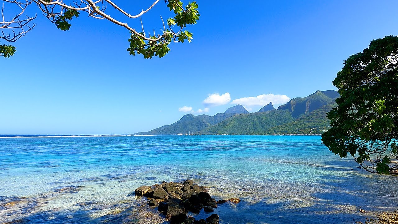 Blue Waters: Calming Scenery From Moorea