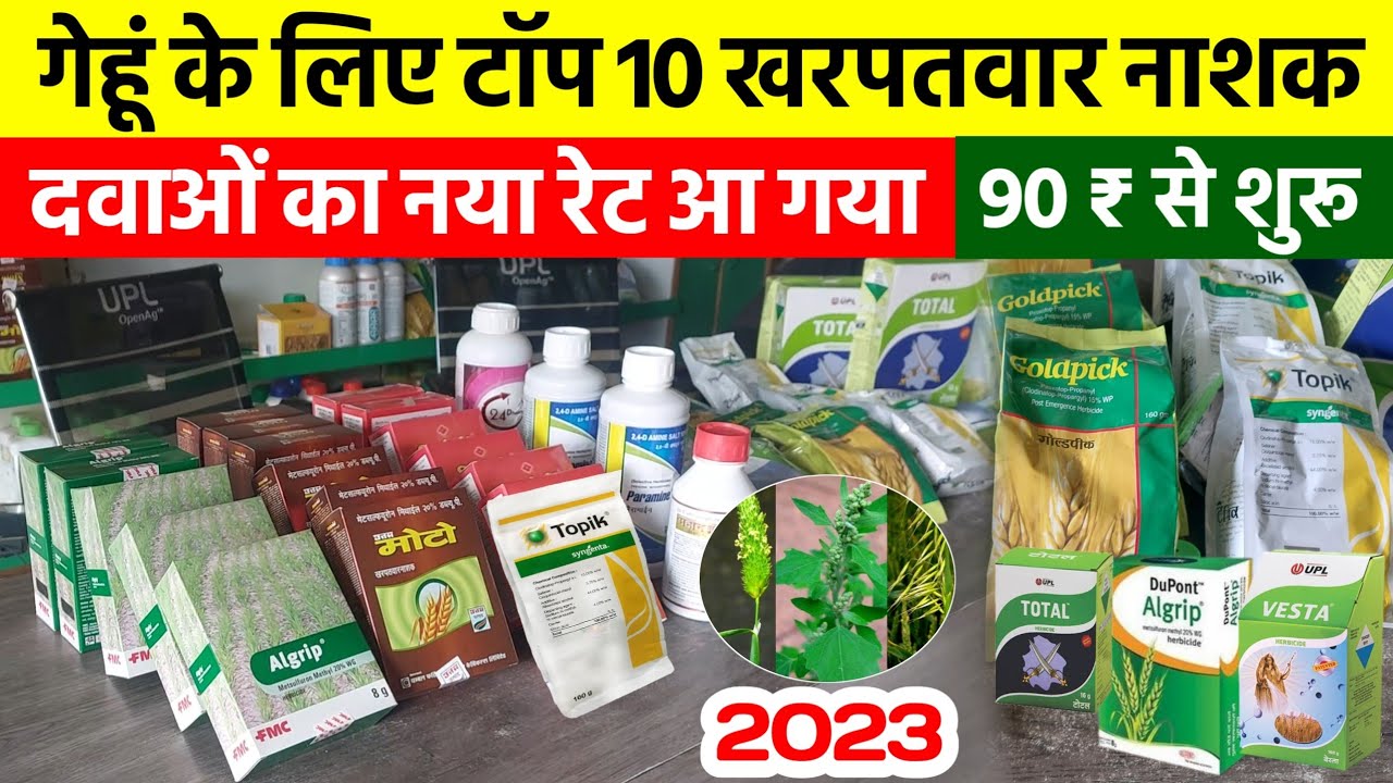 गेहूं के लिए टॉप 10 खरपतवार नाशक का रेट | 90 रुपए से शुरू | Gehu Me Kharpatwar Nashak Dawa