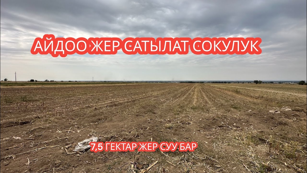 АЙДОО ЖЕР САТЫЛАТ СОКУЛУК 2023