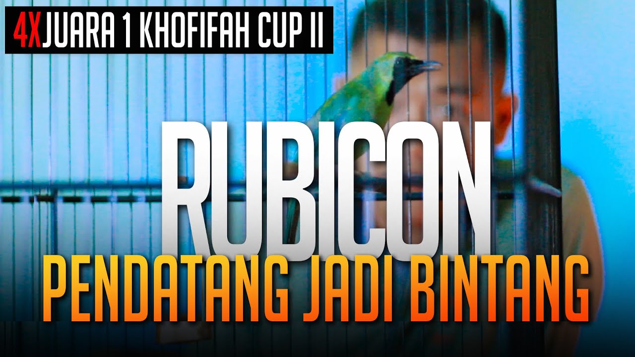 Harapan Baru Senator, RUBICON Jadi Pembvnuh Raksasa