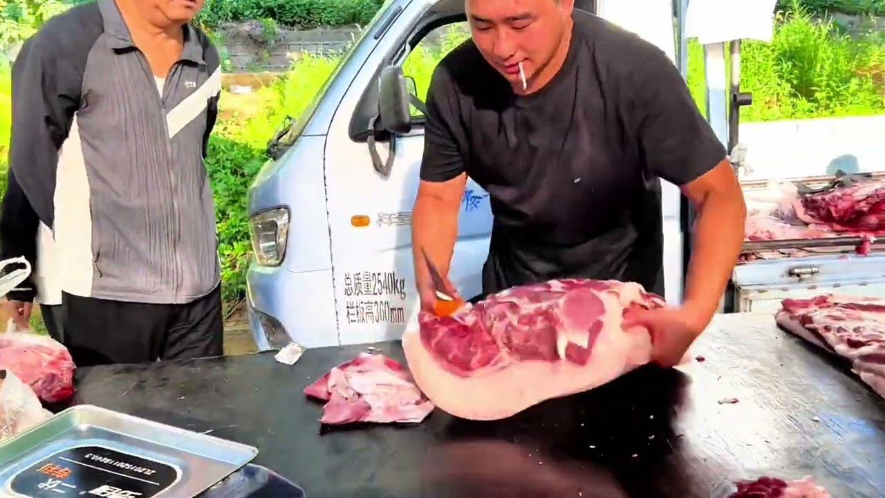 It is more than 500 pounds of piglets