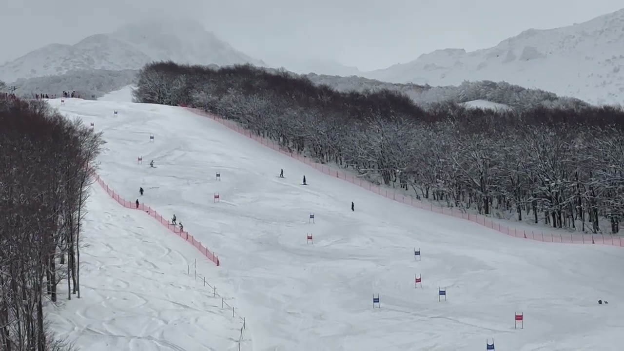 2026 北医体GS1st 中畑慧