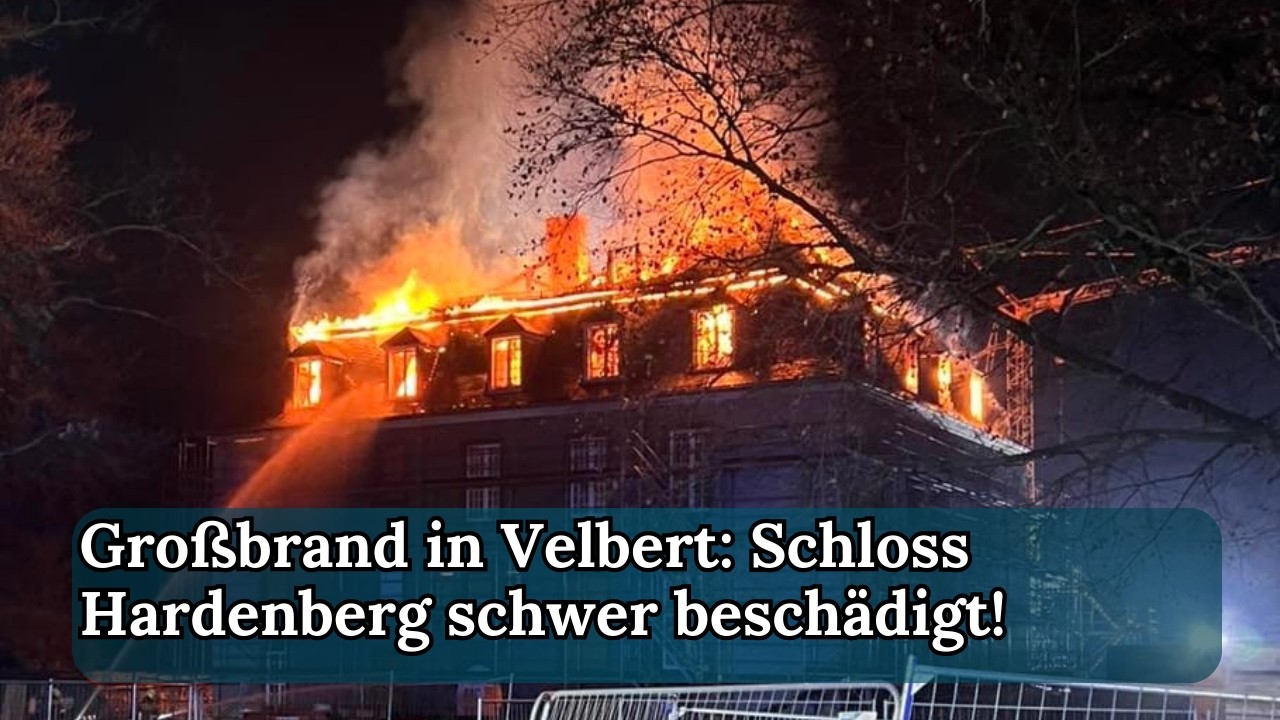 Großbrand in Velbert: Schloss Hardenberg schwer beschädigt! | TRD Podcast | Episode 440