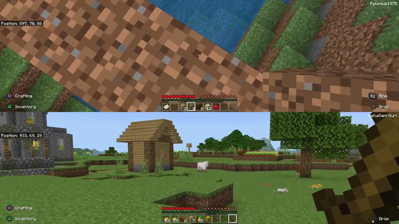 Copy of Minecraft with my daughter