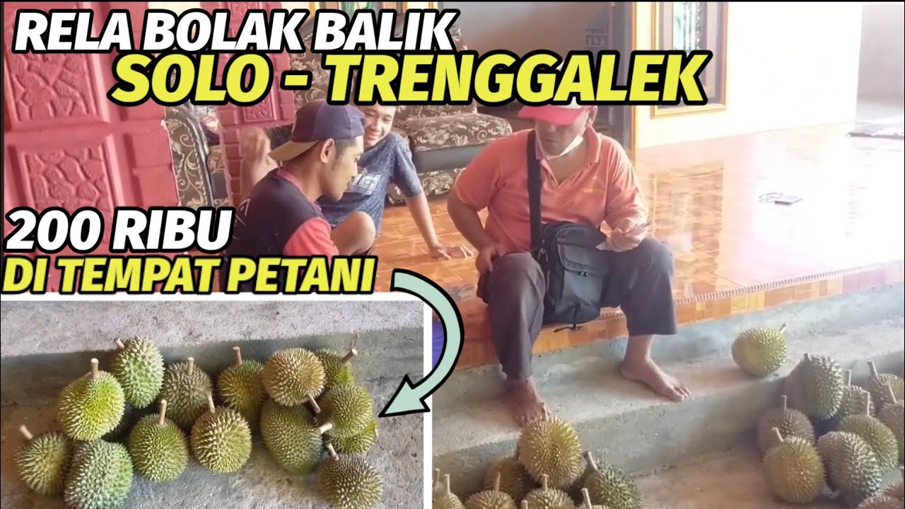 Ketagihan beli durian karangsono di tempat petani.
