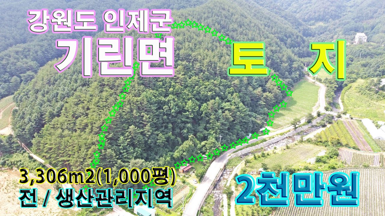아담한 임야, 인근 내린천, 임업 하실 분 / 인제군 기린면 임야 62번,  내린천공인중개사