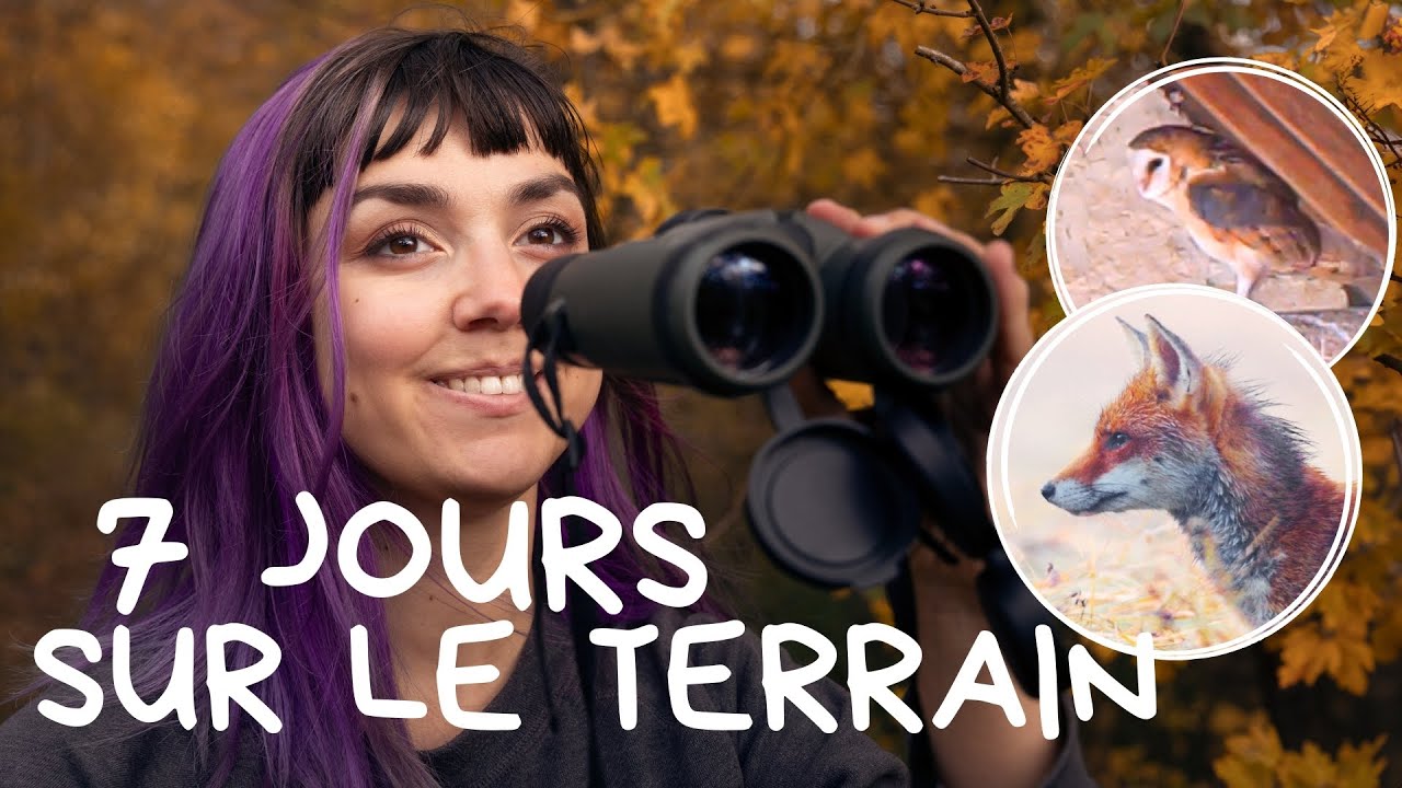 Elles sont de retour ! (Vlog animalier)