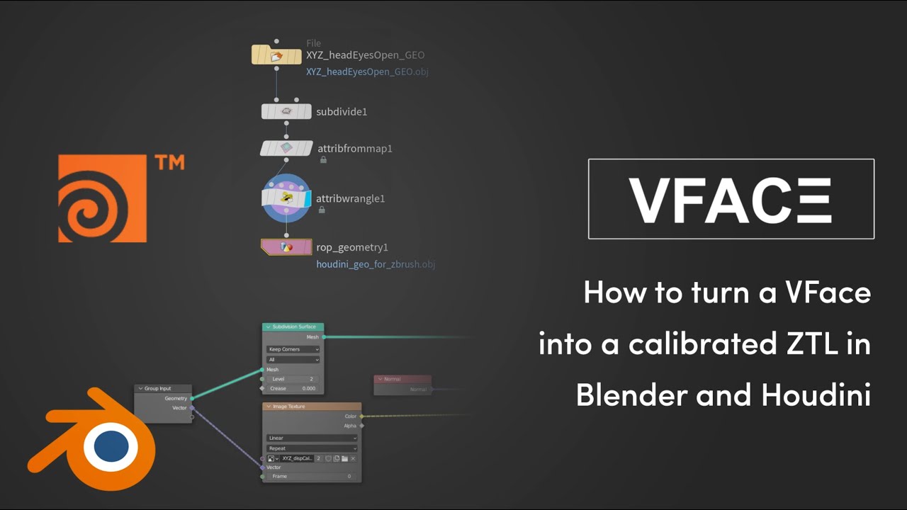 VFace Fundamentals - Turn a VFace to a ready-to-use Calibrated ZTool