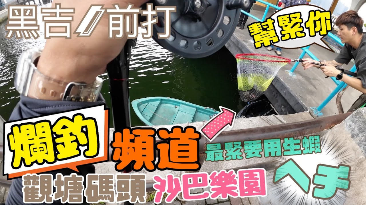 【爛釣頻道】黑吉/前打(ヘチ) 觀塘碼頭釣魚🎣 沙巴樂園 最緊要用生蝦😆 沙巴龍躉 #香港釣魚 #黑吉 #前打 #ヘチ #釣魚 (4K)影片