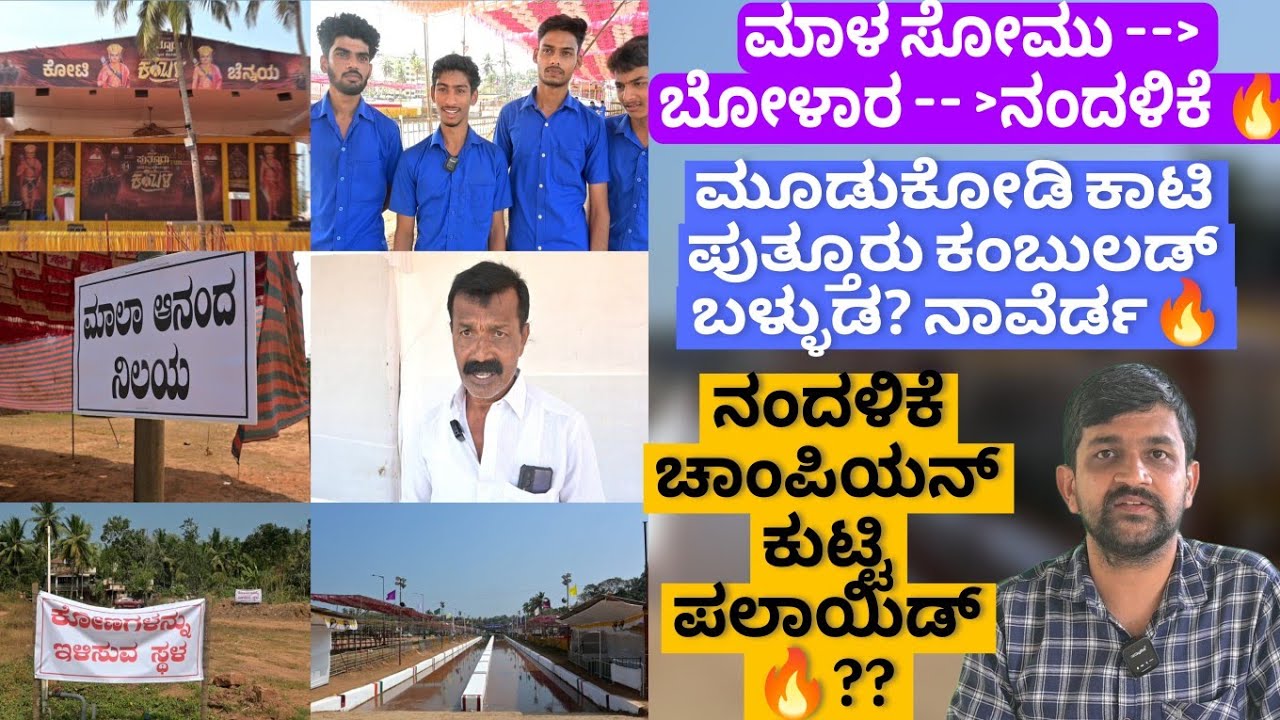 Puttur Kambala 2026🔥 | ಪುತ್ತೂರು ಕಂಬುಲದ ಸಿದ್ಧತೆತ ಗ್ರೌಂಡ್ ರಿಪೋರ್ಟ್ 🔥 High Voltage Puttur Kambala