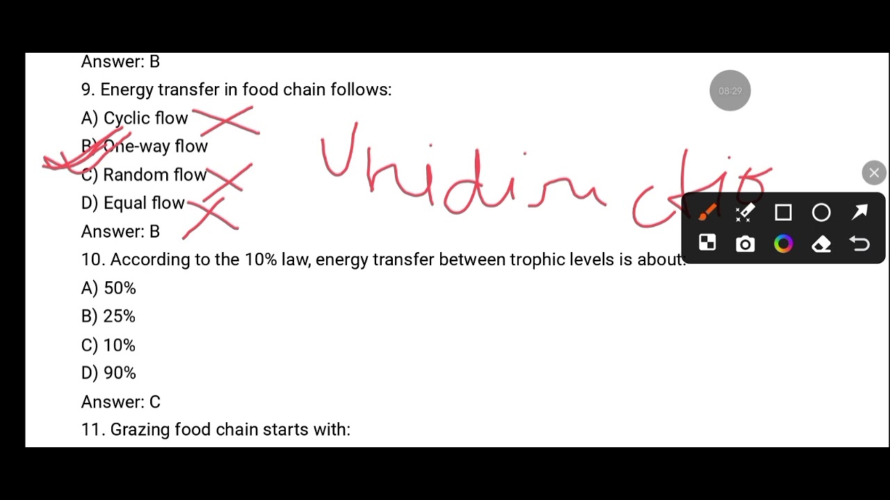 Food chain and food web MCQ questions for B.Sc. 