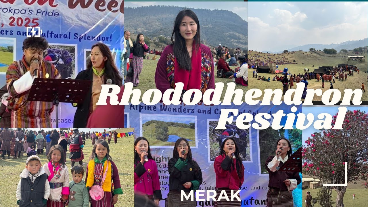 First-Ever Rhododendron Festival in Merak | Nature & Culture in Bhutan #RhododendronFestival2025