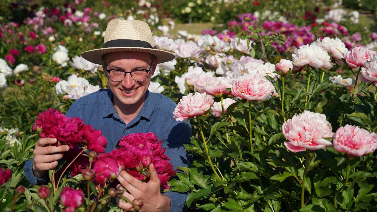 GARTEN TV OnTour: Toskana-Feeling im Rheinischen Pfingstrosen-Paradies