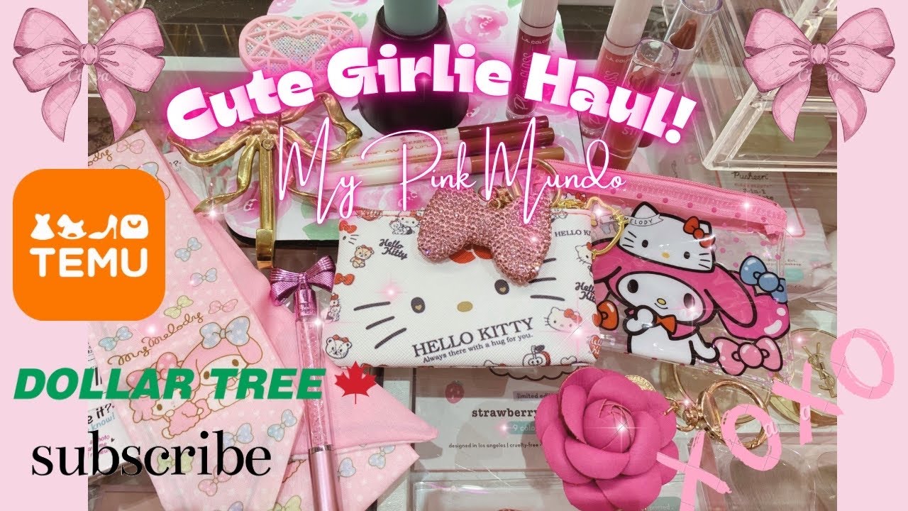 HAUL TIME - New Makeup finds from Dollartree. Cute purse accessories items from Temu with links