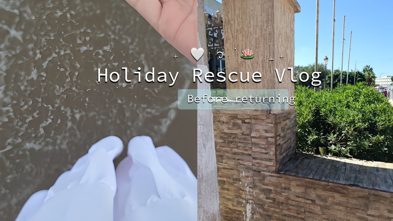 Vlog of the last days of summer vacation🫶🏻🌊•Enjoy•cleaning•Self-development🪽،. 