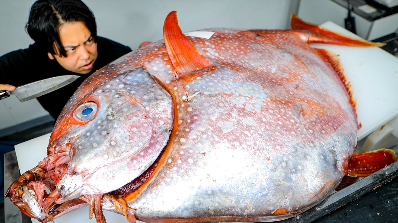 規格外のマンボウを仕入れたので解体したら1000匹の寄生虫がウジャウジャと、、、