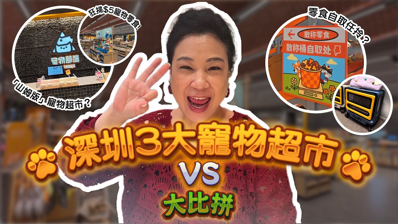 🚀【深圳寵物超市大比拼】3間必逛寵物店🐶🐱｜平到笑$5寵物零食🍖‼️免費試食+貓狗Cafe☕｜寵物控天堂💖