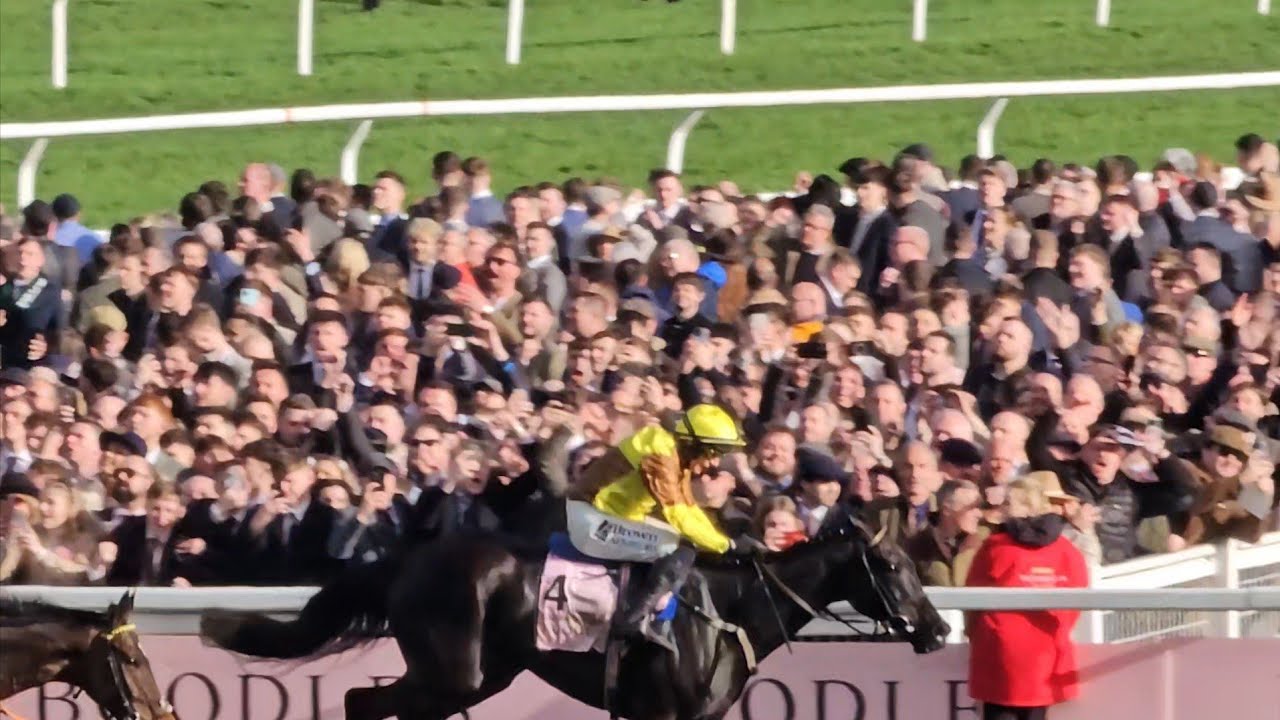 Cheltenham Festival 2024: Day 4 | GALOPIN DES CHAMPS RETAINS HIS GOLD CUP CROWN! 🏆 | Raceday POV