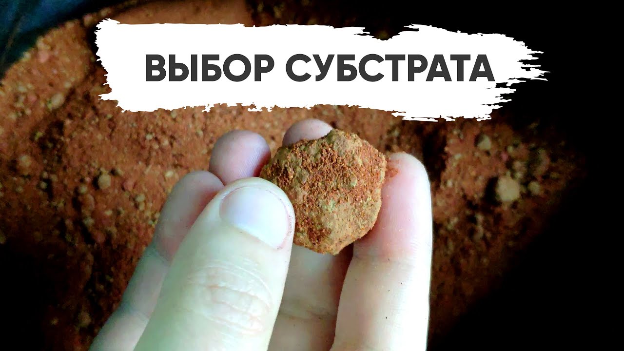 Песок в террариуме для эублефара. Exo Terra