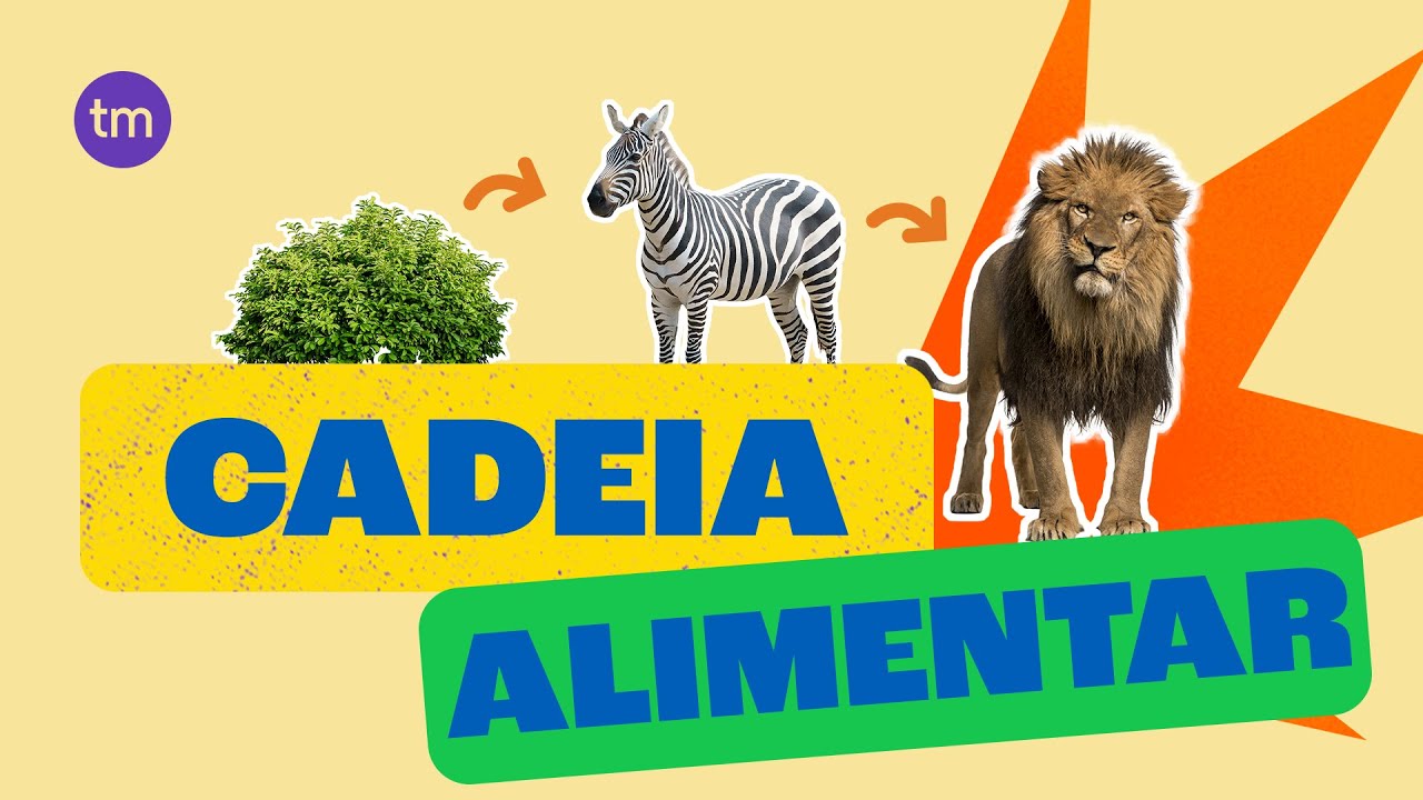 Como funciona uma Cadeia Alimentar?